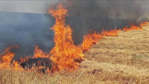 Jandarma Hızlı Müdahale Etti