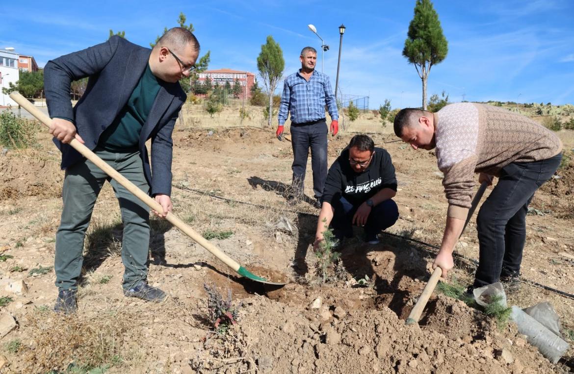 Bozok Kampüs Yeşilleniyor