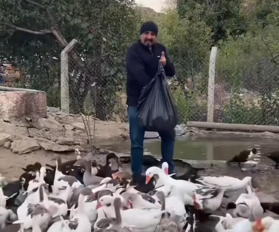 Artan Gıdalar Kazlara Yediriliyor