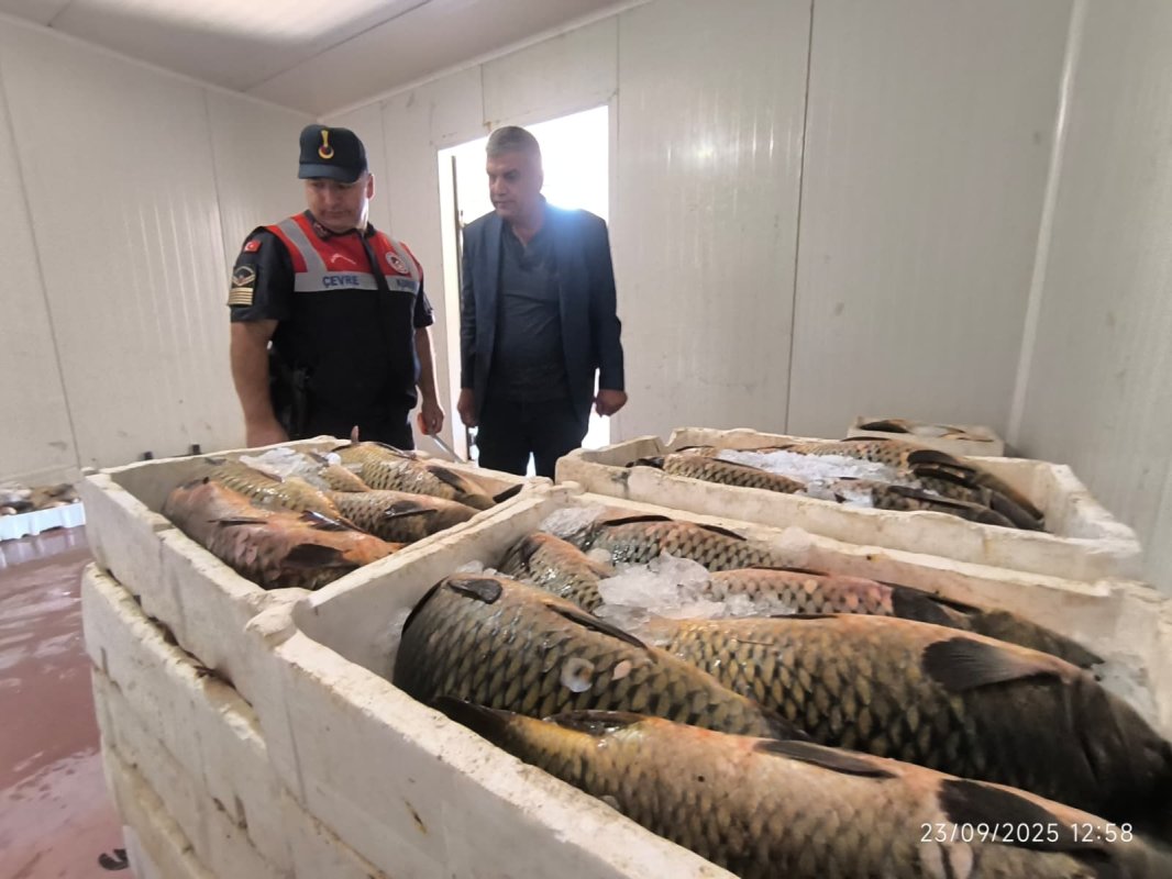 Balık Depoları Denetlendi