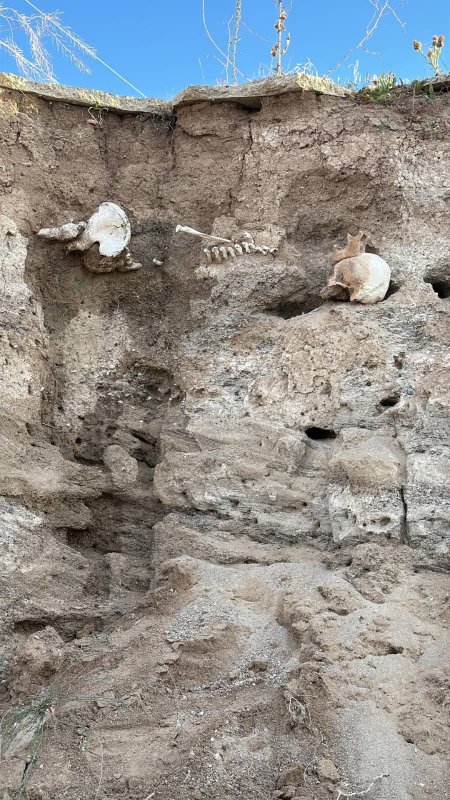 Boğazlıyan’da Gizemli Kemik Buluntusu: Eski Mezarlık mı?