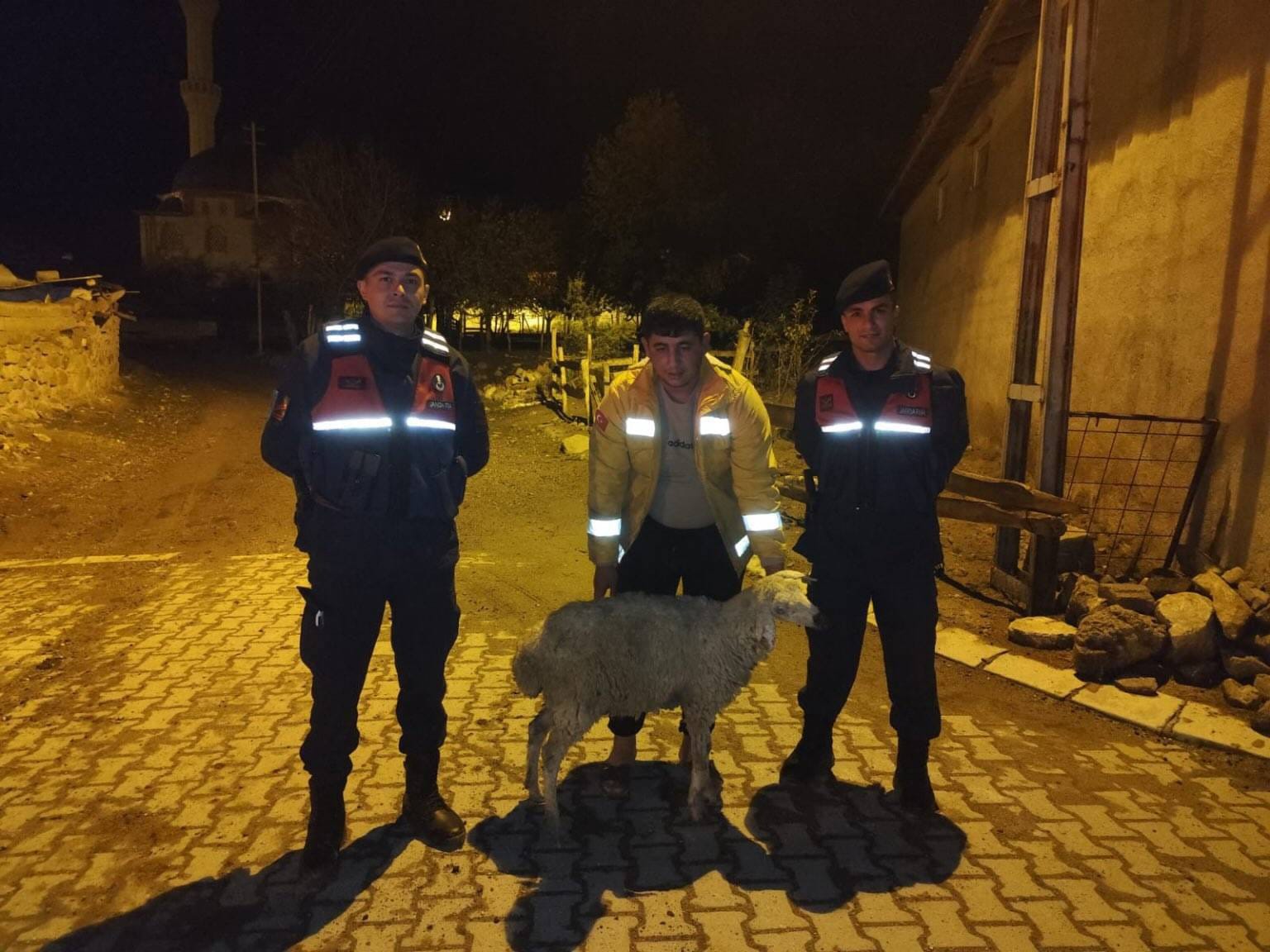 Kaçan Koyun Sahibine Teslim Edildi