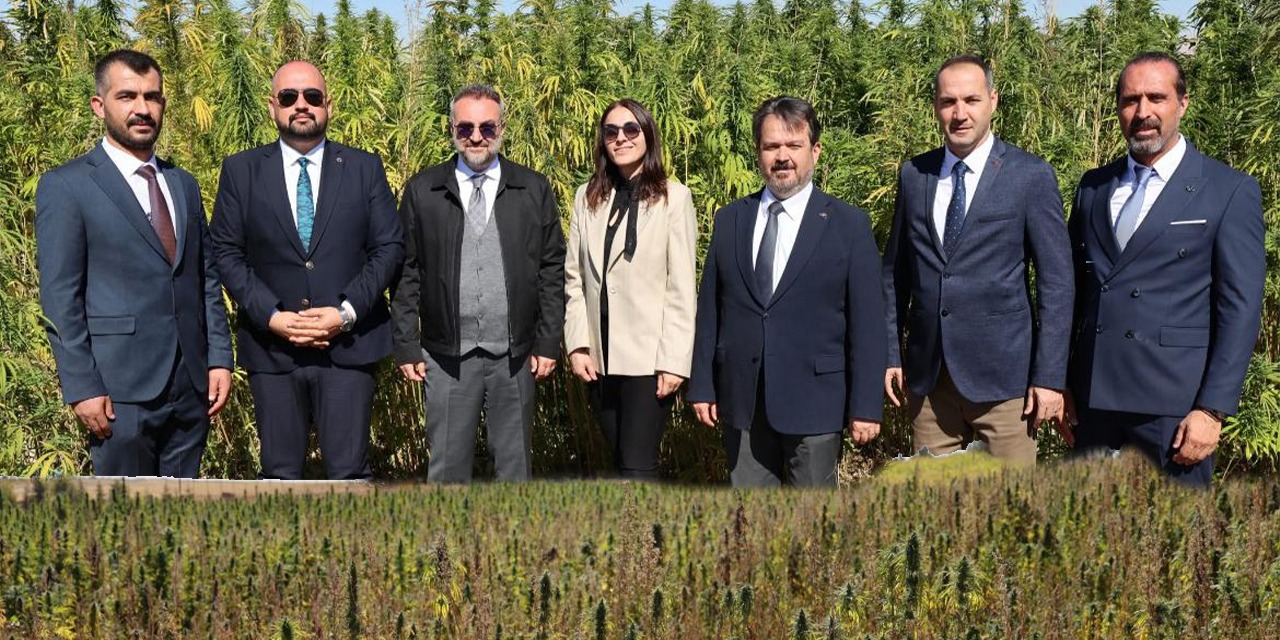  Boğazlıyan’da Kenevir Hasadına Katıldı