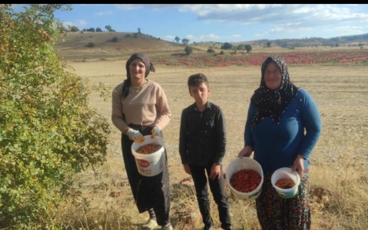 Kuşburnu Mesaisi Başladı