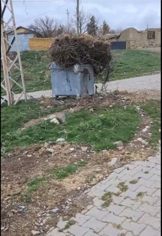 Leylek Yuvasının Bozulmasına Köylülerden Sert Tepki