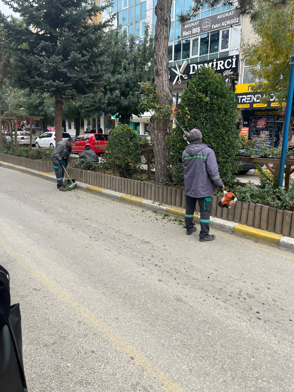 Ağaçlara Sonbahar Bakımı