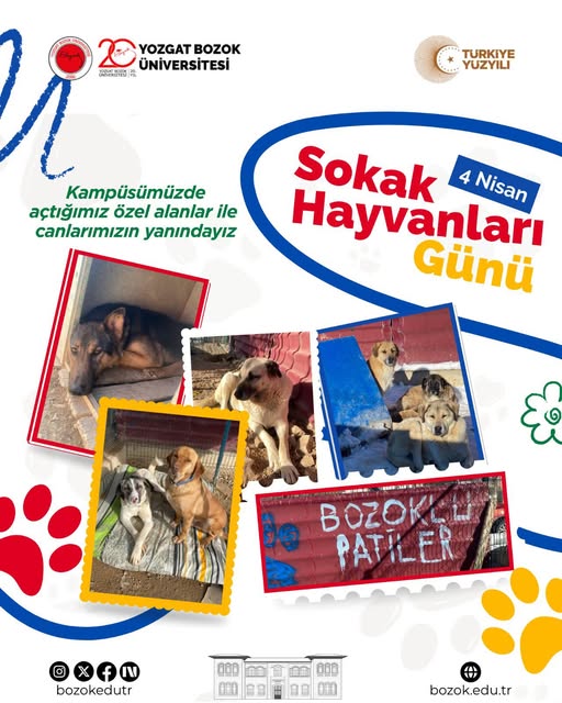 Yozgat Bozok Üniversitesi’nden Sokak Hayvanlarına Destek