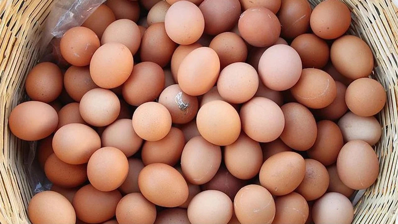 Yumurta Fiyatı Yükselişte!