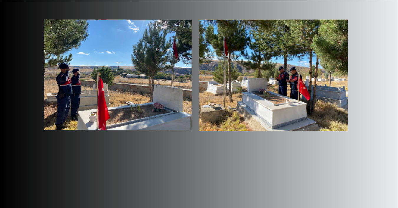 Jandarmadan Anlamlı Davranış