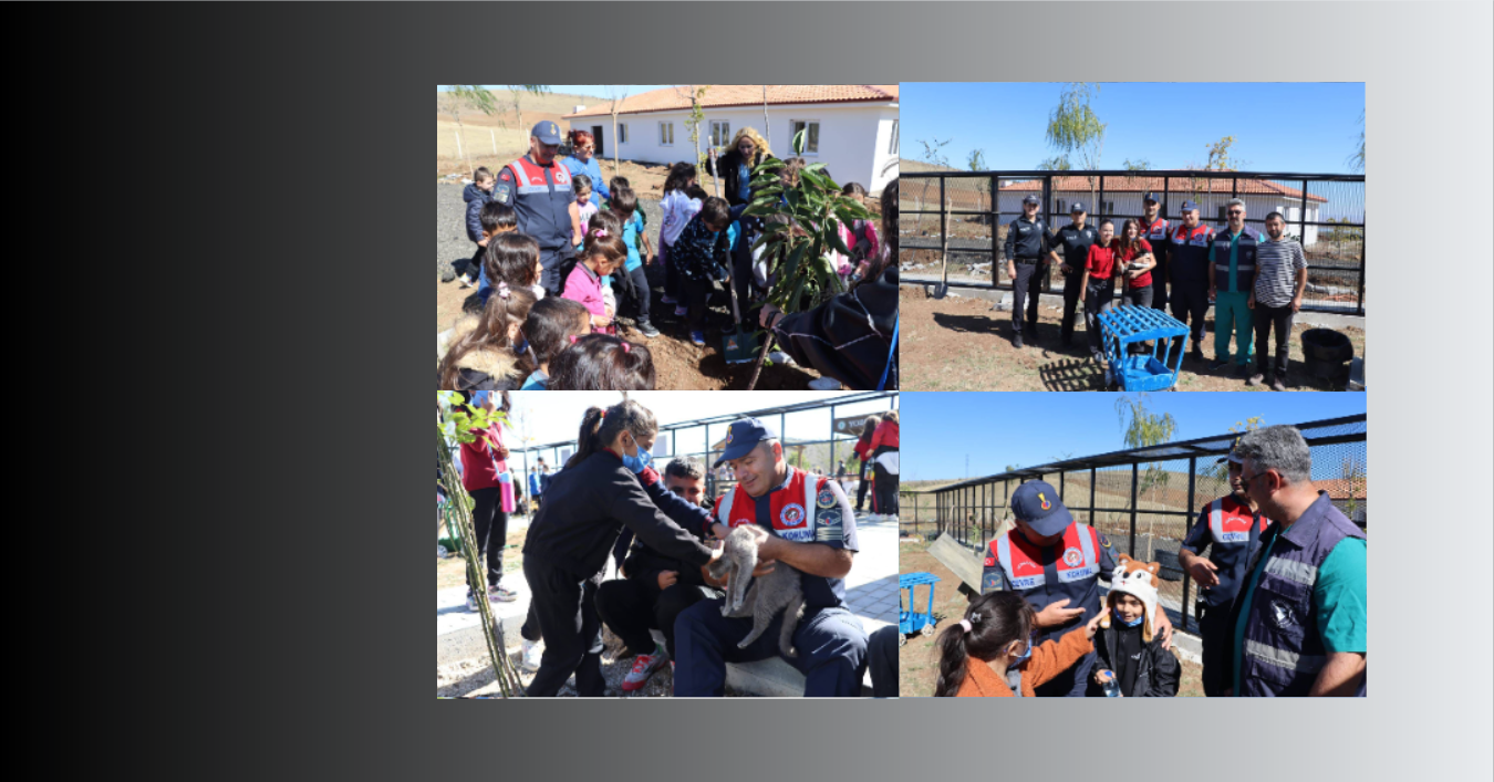 Sevgiyle Koruyalım Doğayla Yaşayalım