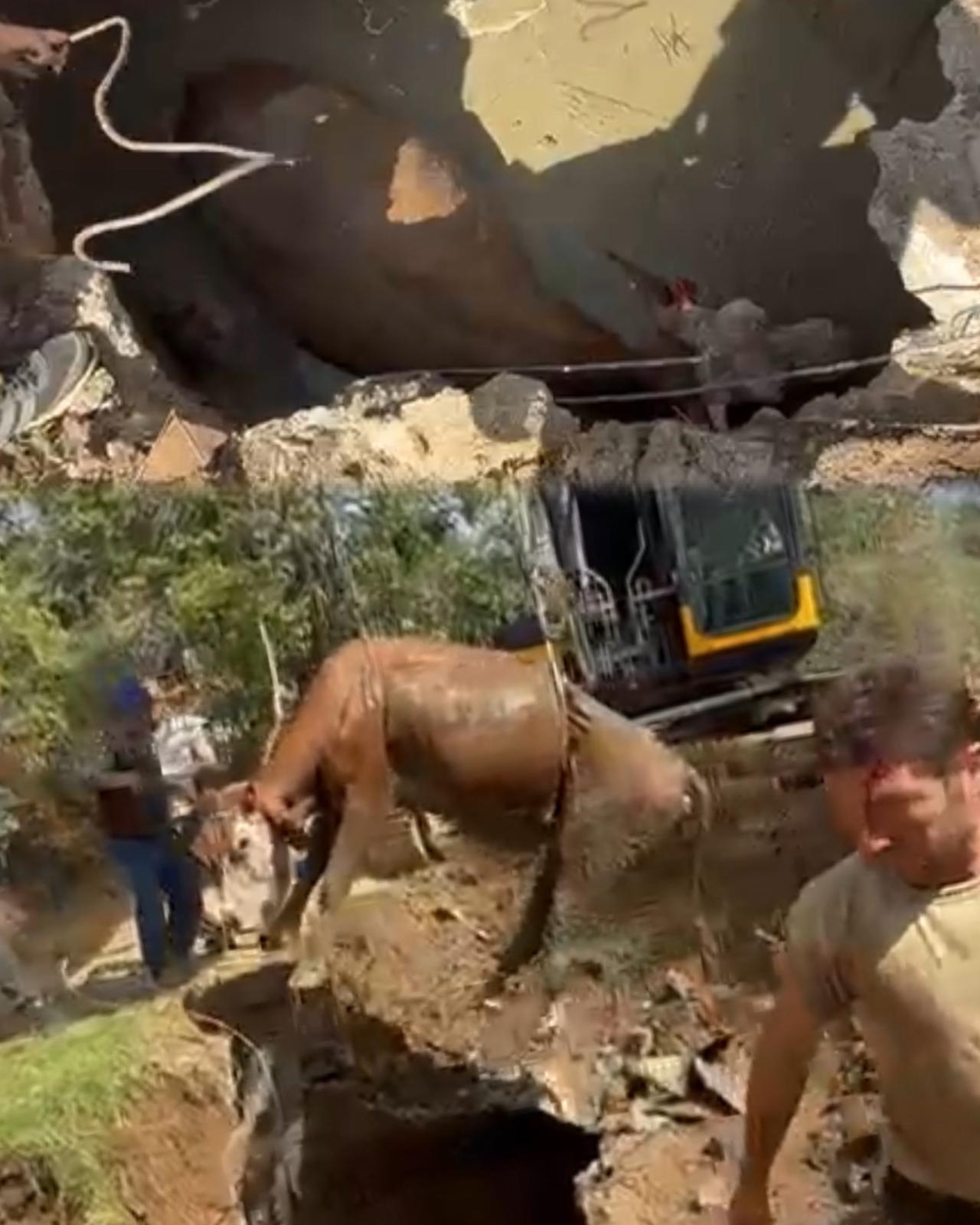 Ekipler Seferber Oldu; Su kuyusunda ölüm kalım mücadelesi