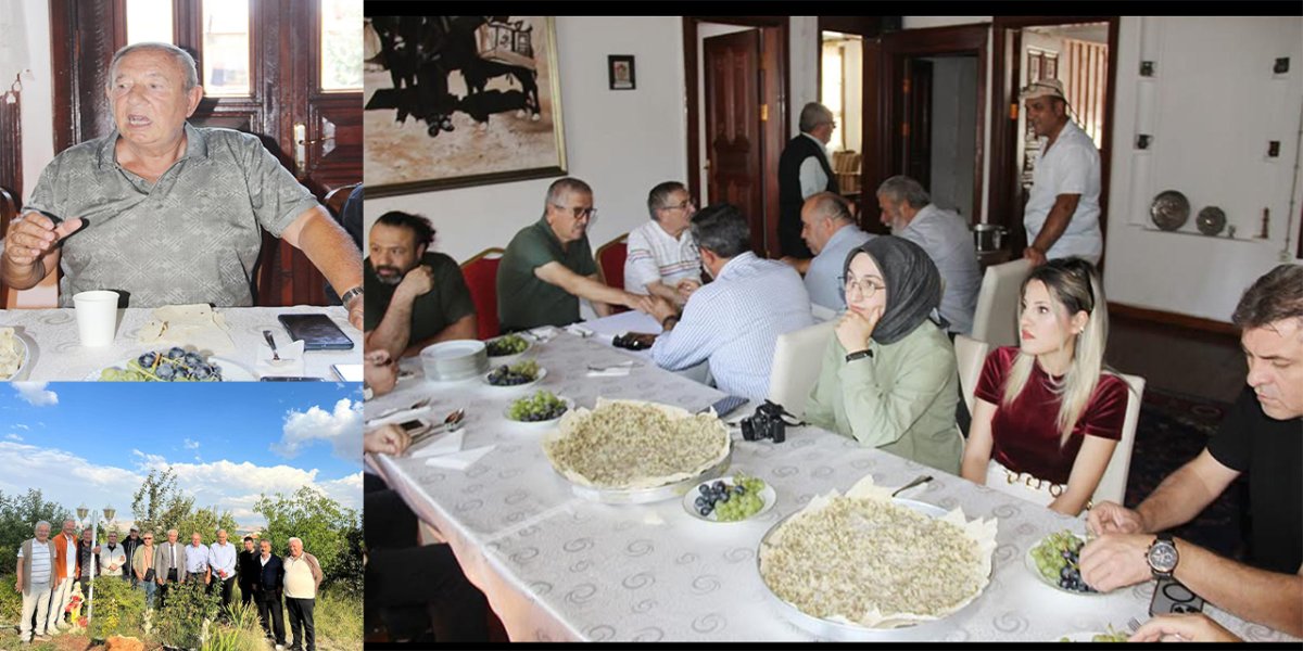 Yozgat’ın Milli Lezzeti: Yeşil Mercimek