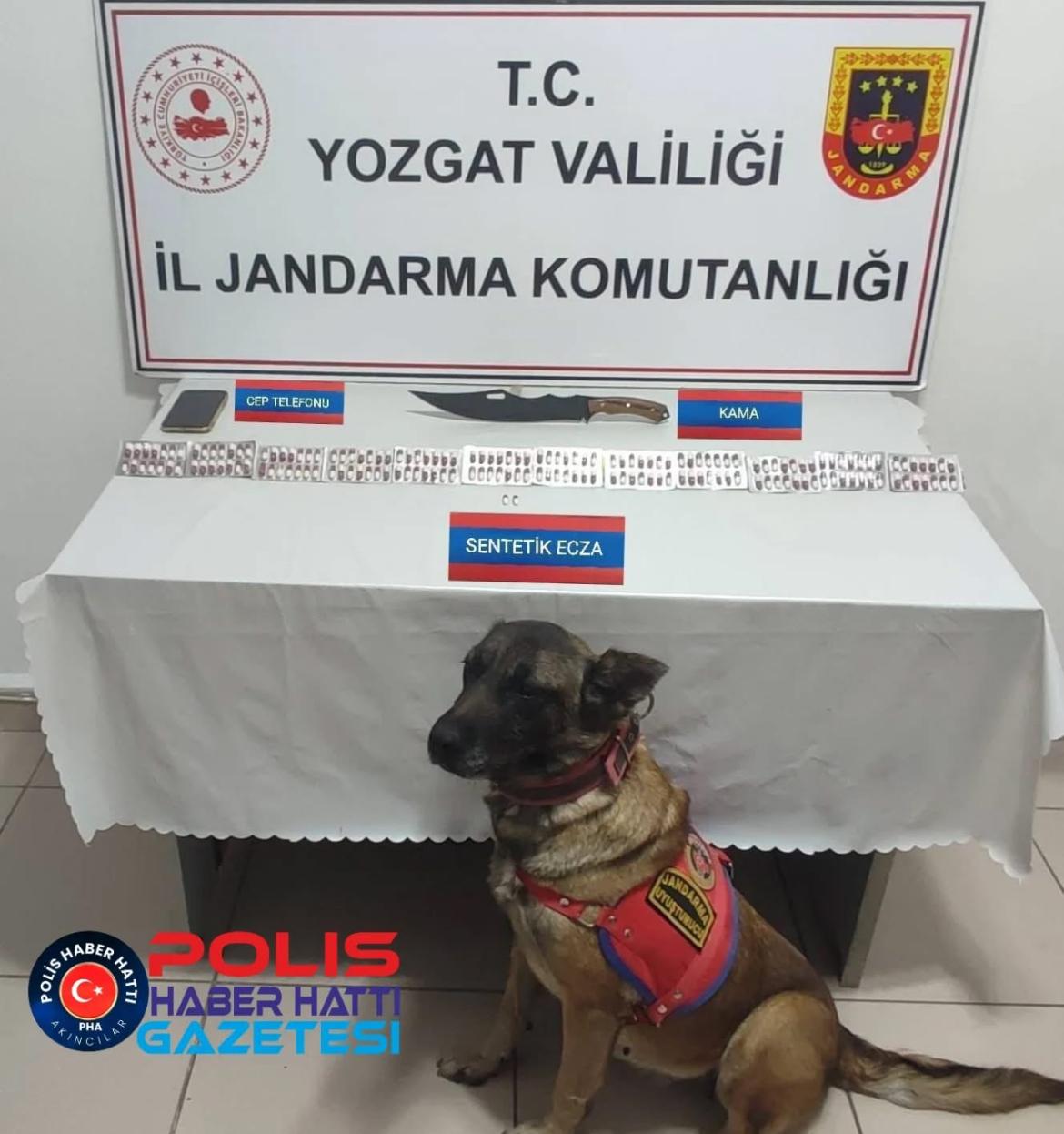 Yozgat’ta 170 uyuşturucu hapla yakalandı